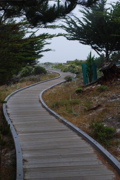 Path to coastal dunes.