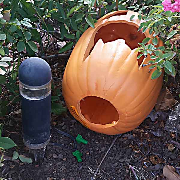 A very old Malibu light fixture model 8301-9300-01 which had bad electrical connector is shown hard wired to a main power line and a plastic pumpkin ready to be placed over the fixture.