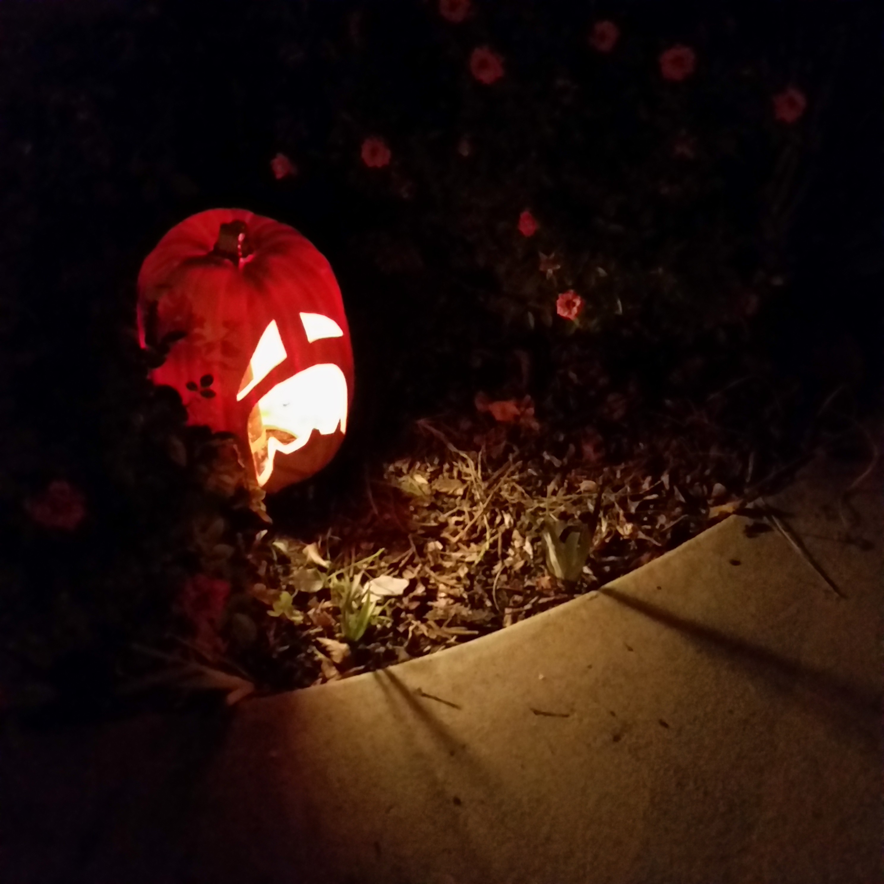 Plastic carved pumpkin was placed over Malibu light.